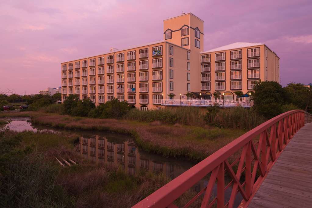 Coconut Malorie Resort Hotel, Ascend Hotel Collection オーシャン・シティ エクステリア 写真